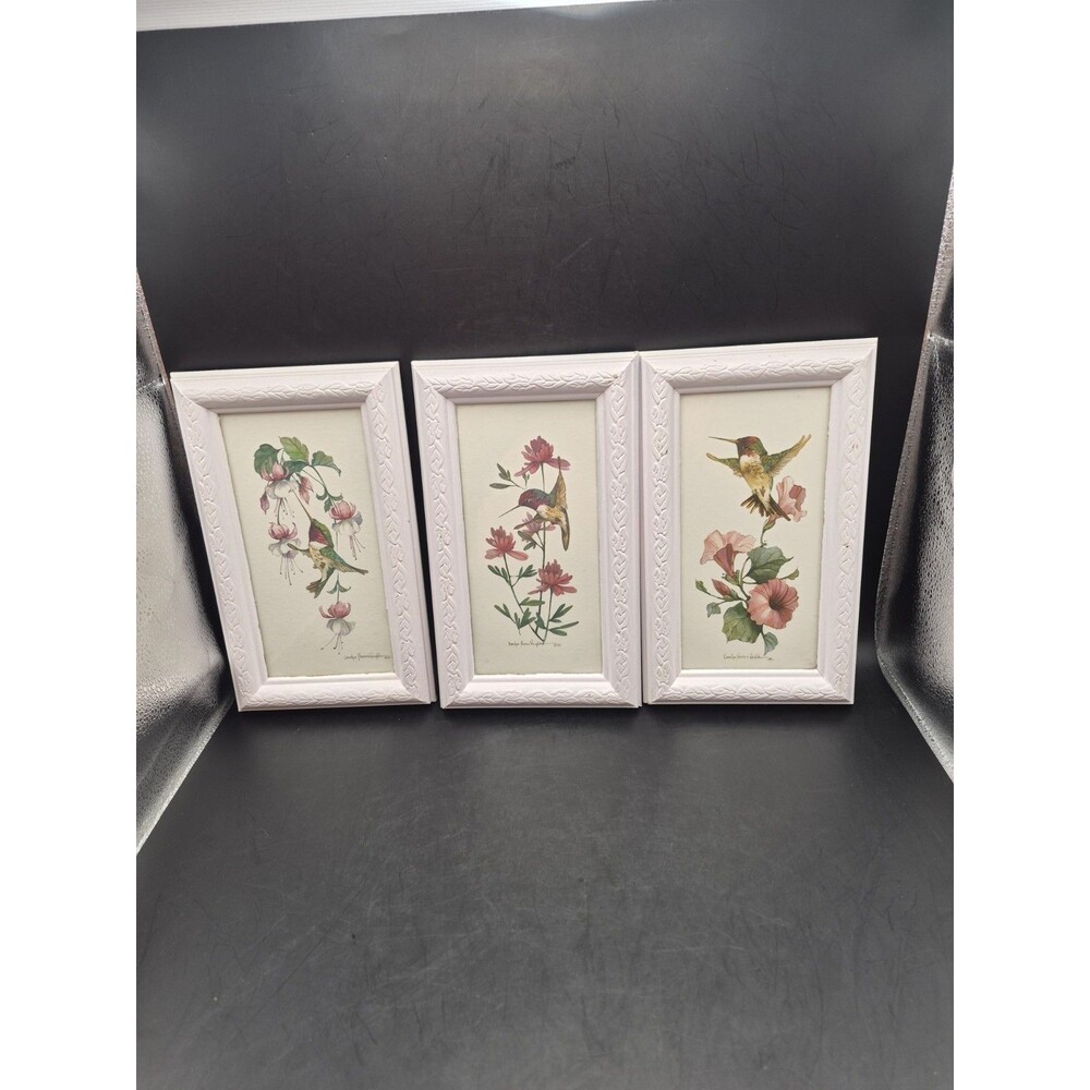 3 Vintage Carolyn Shores Wright Framed Hummingbird Flower Print 1992 1995